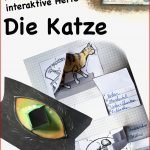 Arbeitsblatt Katzen Skelett Beschriften 5 Klasse Debbie