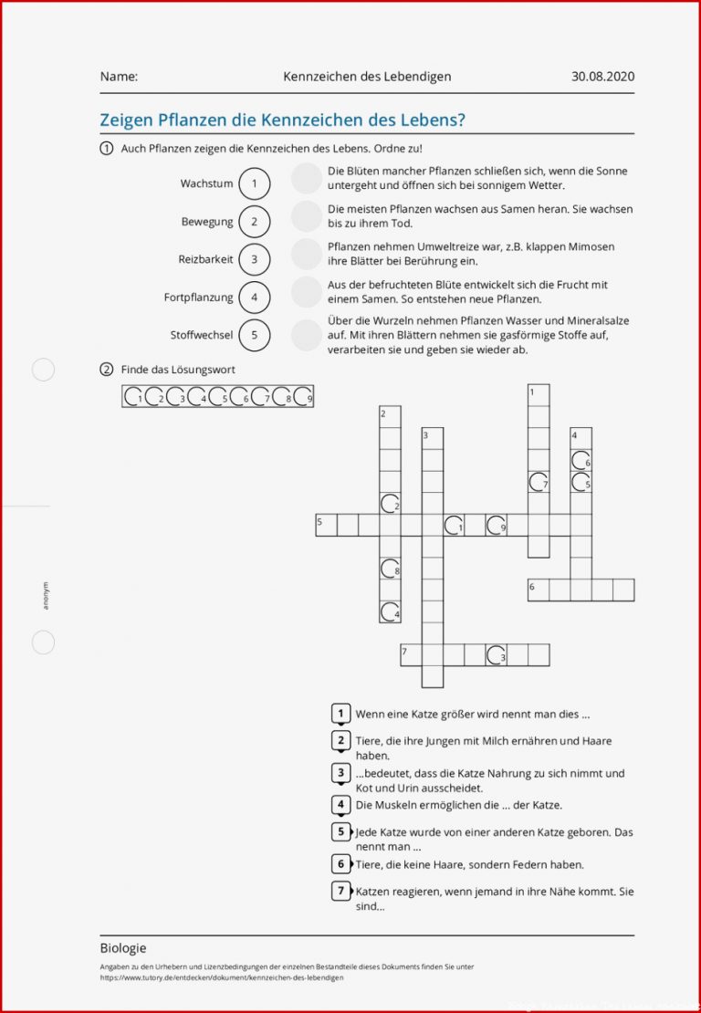 Arbeitsblatt Kennzeichen des Lebendigen Biologie