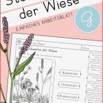 Arbeitsblatt Klasse Stockwerke Der Wiese Grundschule