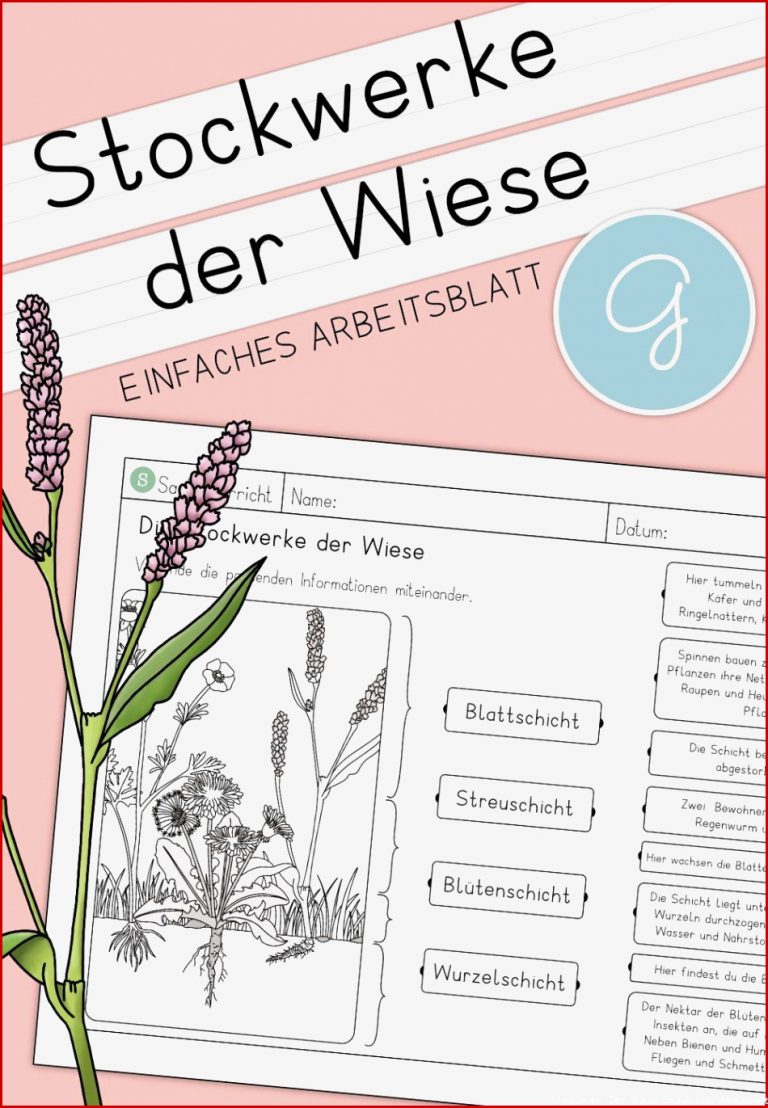 Arbeitsblatt Klasse Stockwerke Der Wiese Grundschule