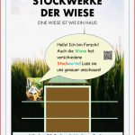 Arbeitsblatt Klasse Stockwerke Der Wiese Grundschule