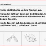 Arbeitsblatt Klasse Stockwerke Der Wiese Grundschule