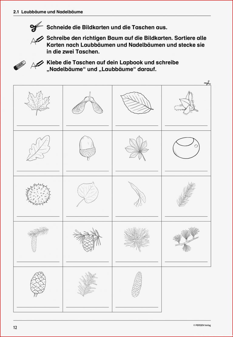 Arbeitsblatt Klasse Stockwerke Der Wiese Grundschule