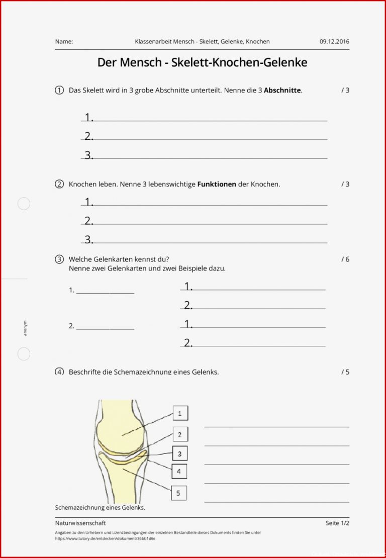 Arbeitsblatt Klassenarbeit Mensch Skelett Gelenke