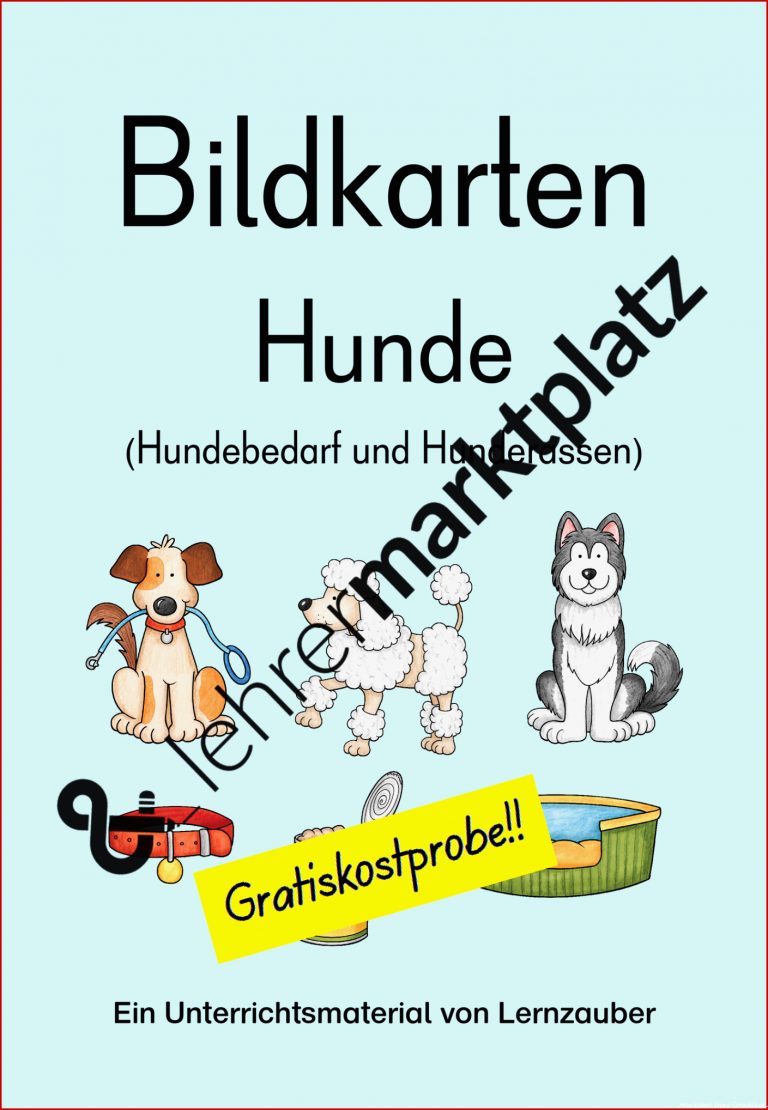 Arbeitsblatt Körpersprache Hund Pdf Dorothy Meyer