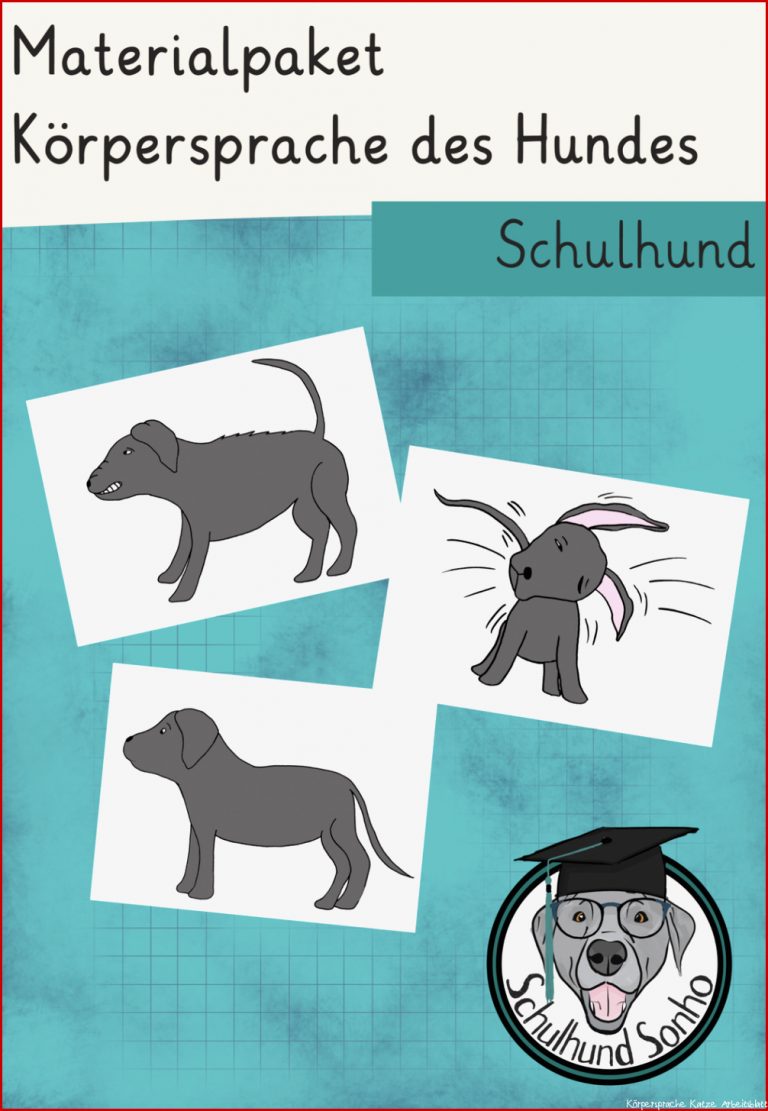 Arbeitsblatt Körpersprache Hund Pdf Stephen Scheidt Schule