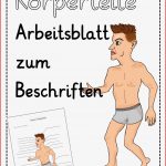 Arbeitsblatt Körperteile Beschriften Stephen Scheidt Schule