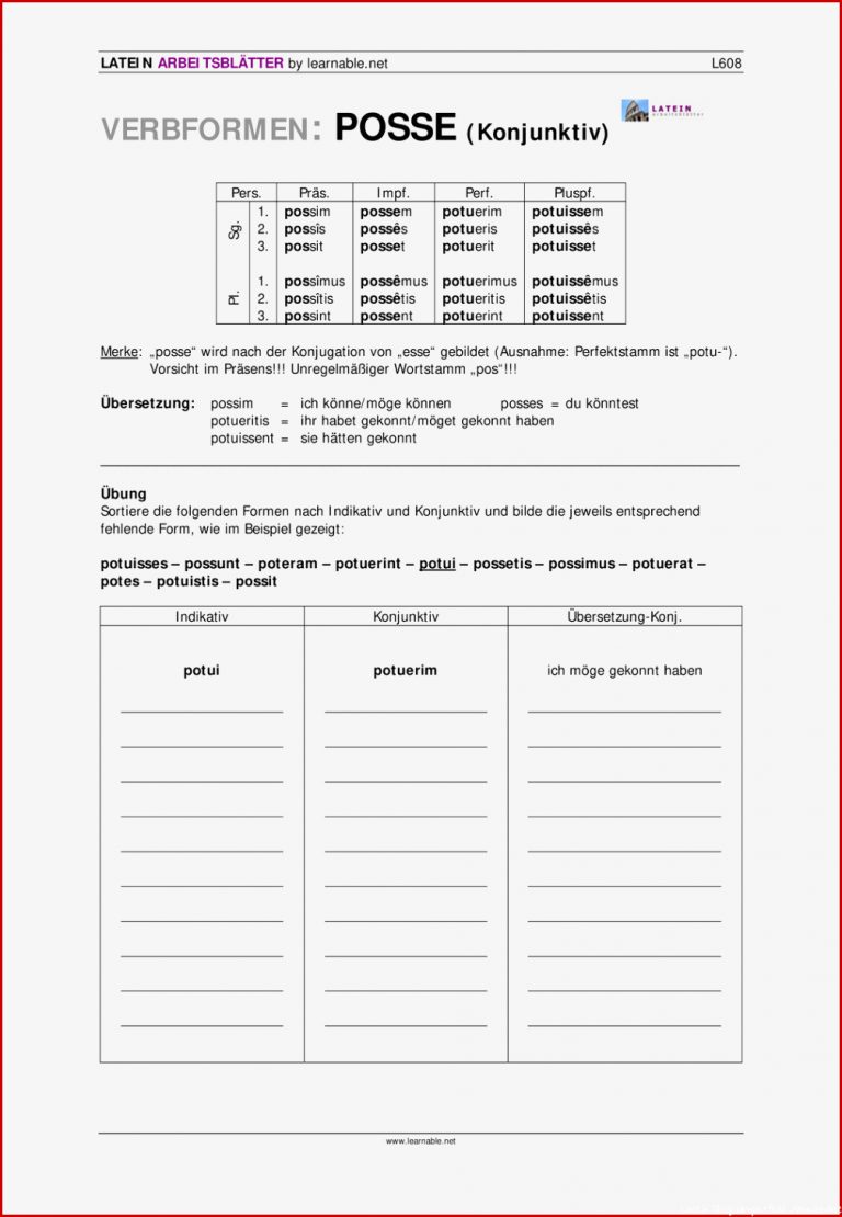 Arbeitsblatt Konjunktiv Nereida Miller Schule