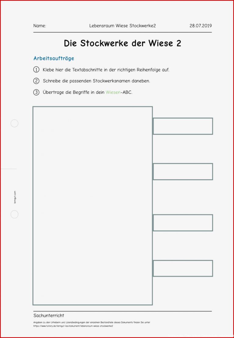 Arbeitsblatt Lebensraum Wiese Stockwerke2
