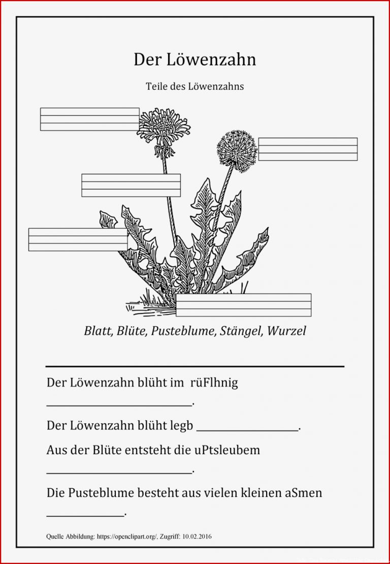 Arbeitsblatt Löwenzahn – Unterrichtsmaterial im Fach