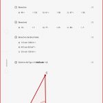 Arbeitsblatt Maßstab Abbildungen Test Mathematik