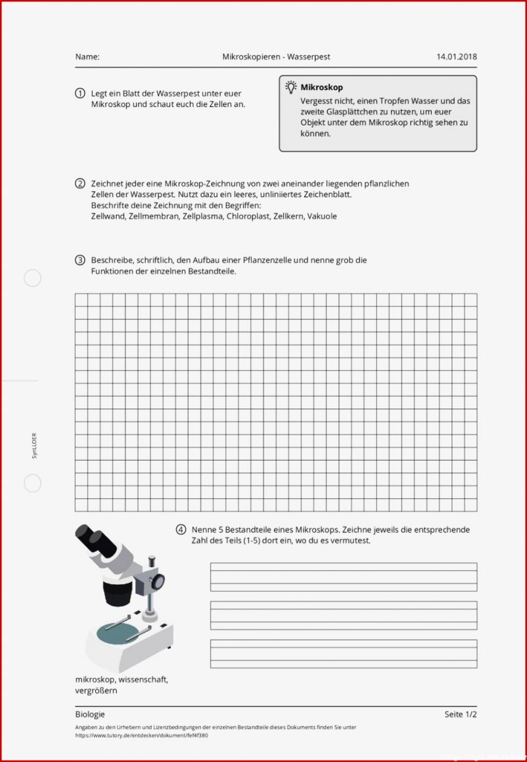 Arbeitsblatt Mikroskopieren Wasserpest Biologie