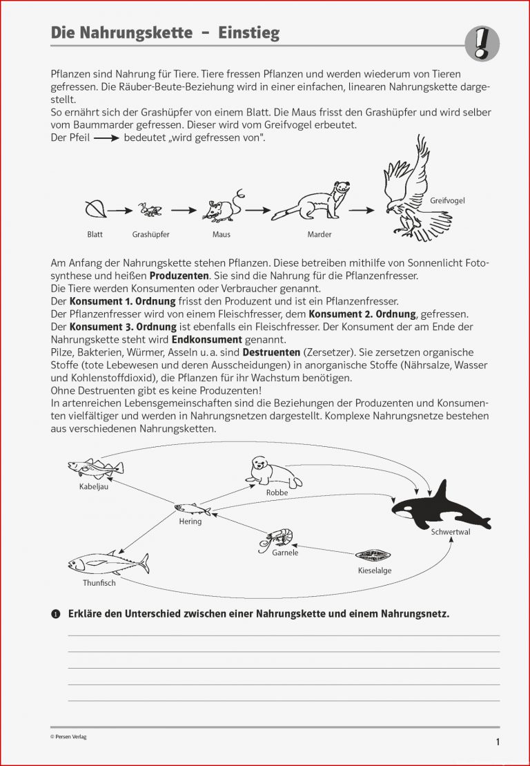 Arbeitsblatt ökosystem Unterrichtsmaterial Anders