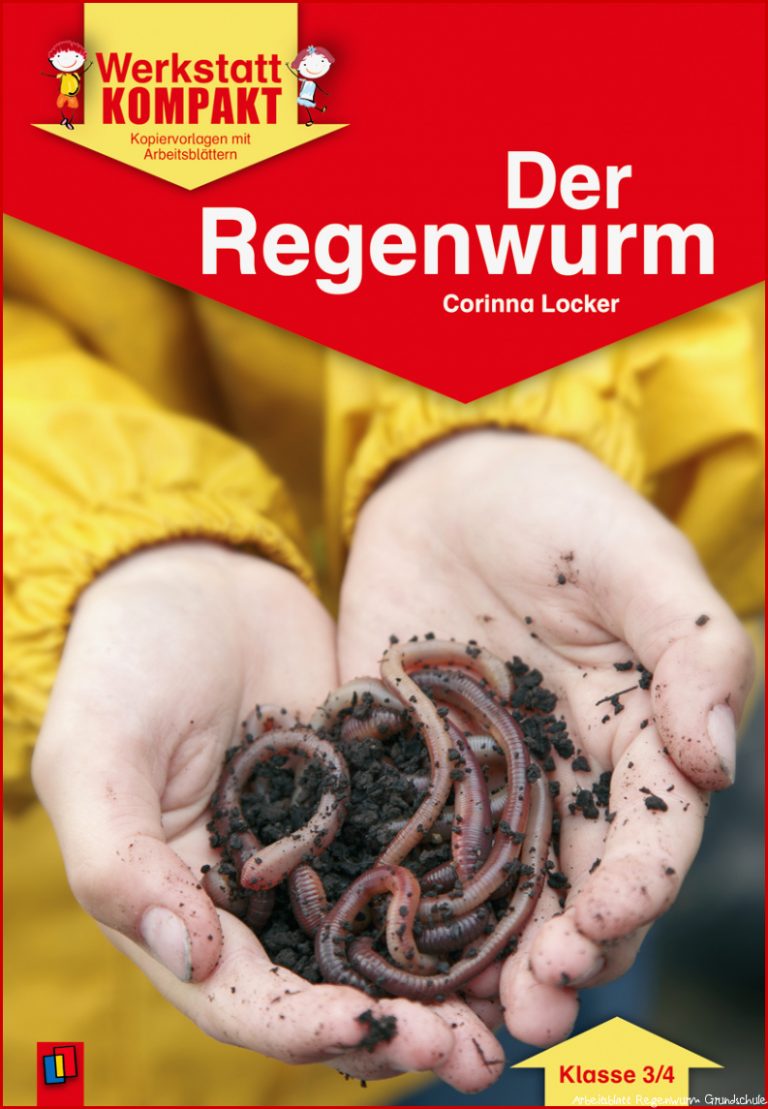 Kostenlosen Arbeitsblatt Regenwurm Grundschule Stephen Scheidt Schule Arbeitsblatt Regenwurm Grundschule Stephen Scheidt Schule