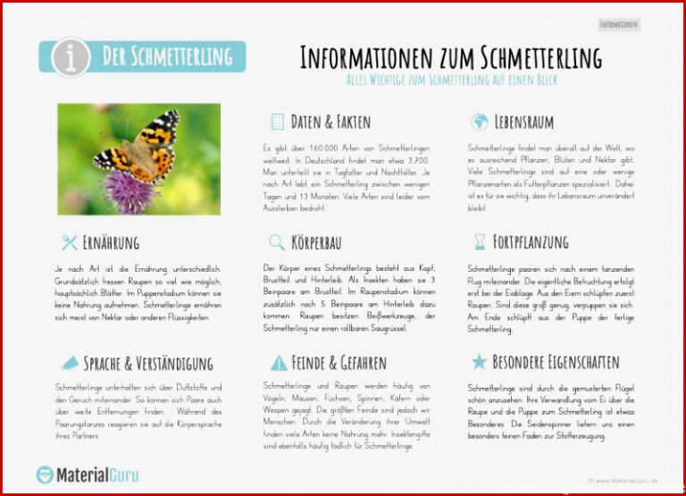 Kostenlosen Arbeitsblatt Schmetterlinge Arbeitsblatt Schmetterlinge