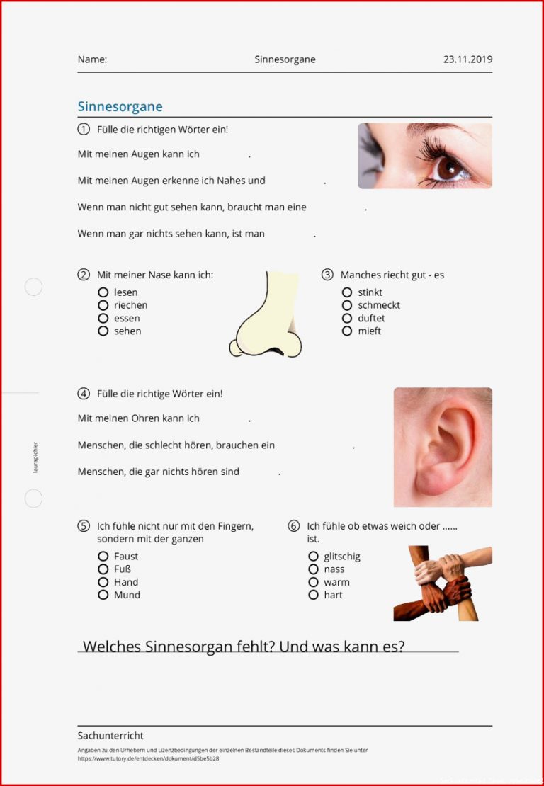 Arbeitsblatt Sinnesorgane Sachunterricht Tutory