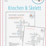 Arbeitsblatt Skelett Mensch Beschriften 5 Klasse Dorothy