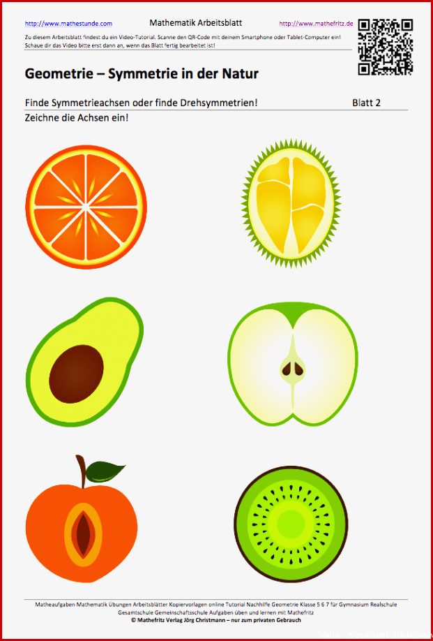 Arbeitsblatt Symmetrien in der Natur Symmetrieachsen