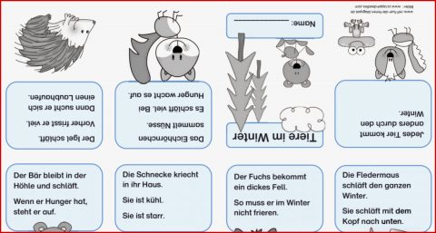 Arbeitsblatt Tiere Im Winter Kindergarten
