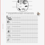 Arbeitsblatt Tierische Zelle Biologie Tutory