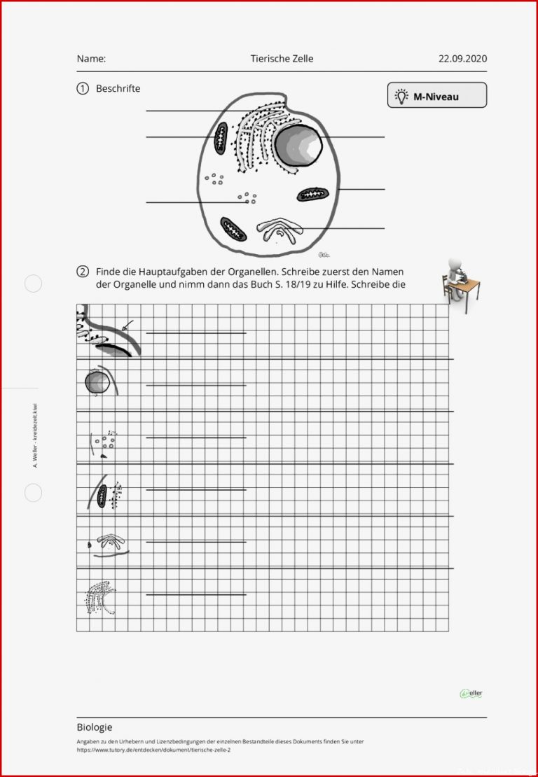 Arbeitsblatt Tierische Zelle Biologie tutory