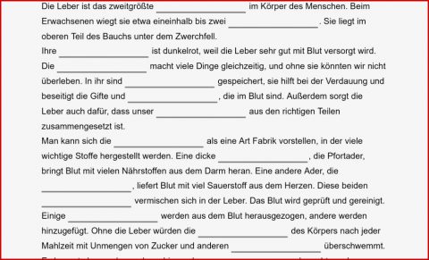 Arbeitsblatt Verdauung Der Nährstoffe Mark Clifford Schule