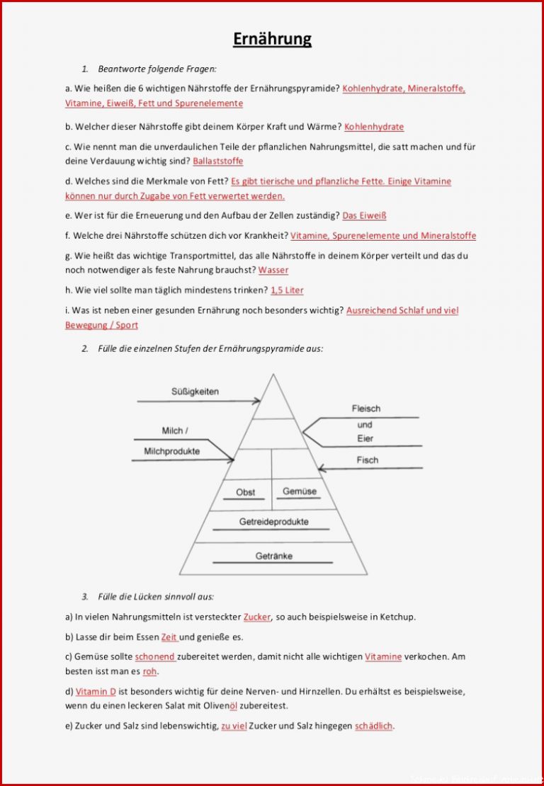 Arbeitsblatt Verdauung Der Nährstoffe Stephen Scheidt Schule
