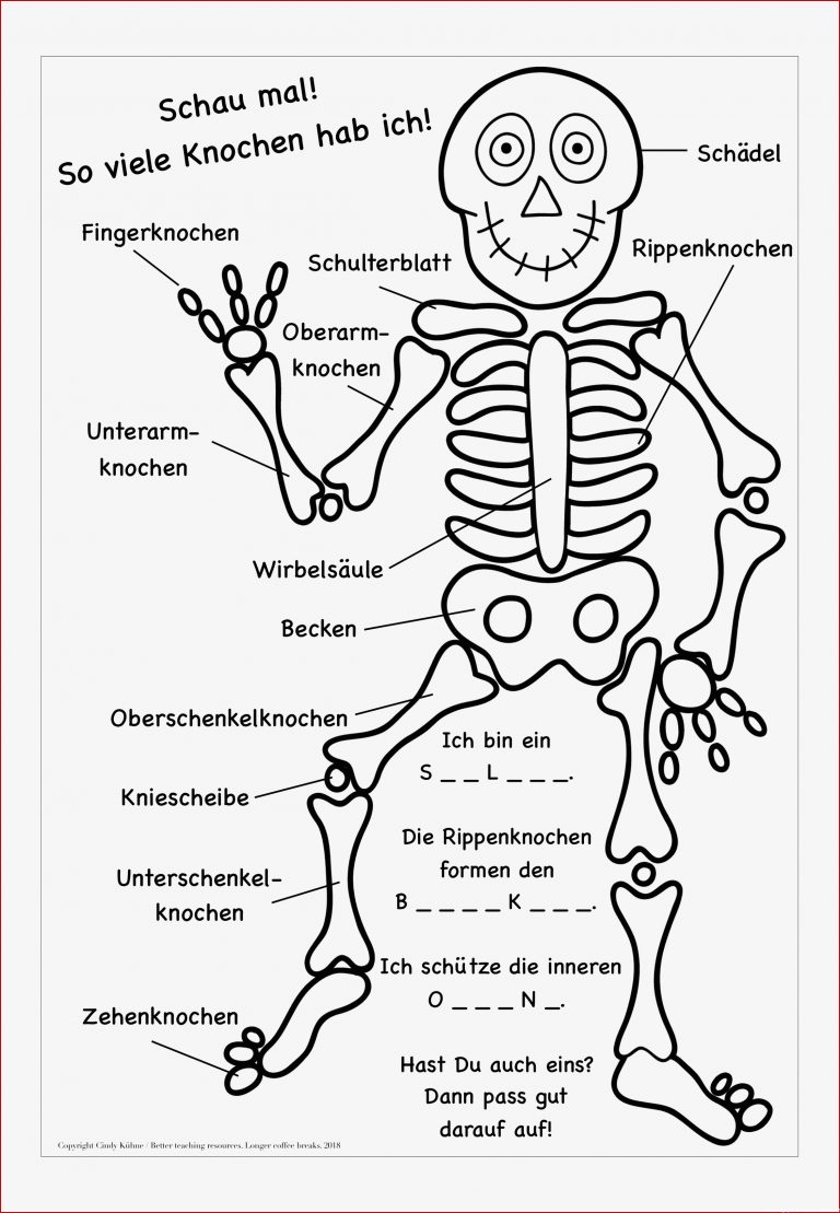 Arbeitsblatt Verdauungssystem Mensch Margaret Pitts Schule