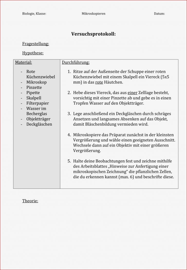 Arbeitsblatt Versuchsprotokoll Mikroskopieren von