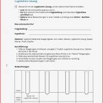 Arbeitsblatt Versuchsprotokoll Stärkenachweis Mit