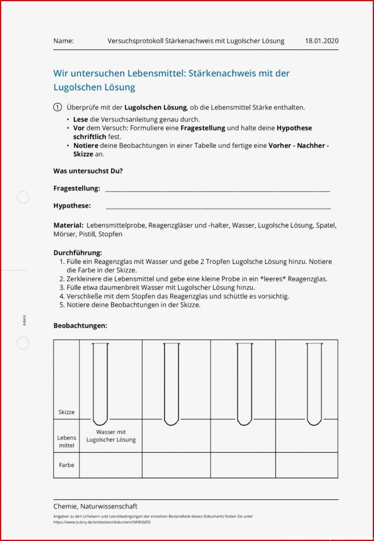 Arbeitsblatt Versuchsprotokoll Stärkenachweis Mit