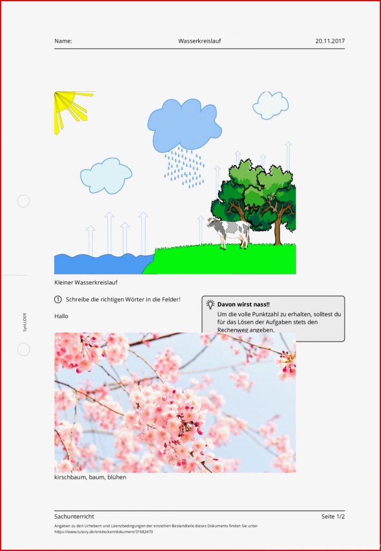 Arbeitsblatt Wasserkreislauf Sachunterricht Tutory