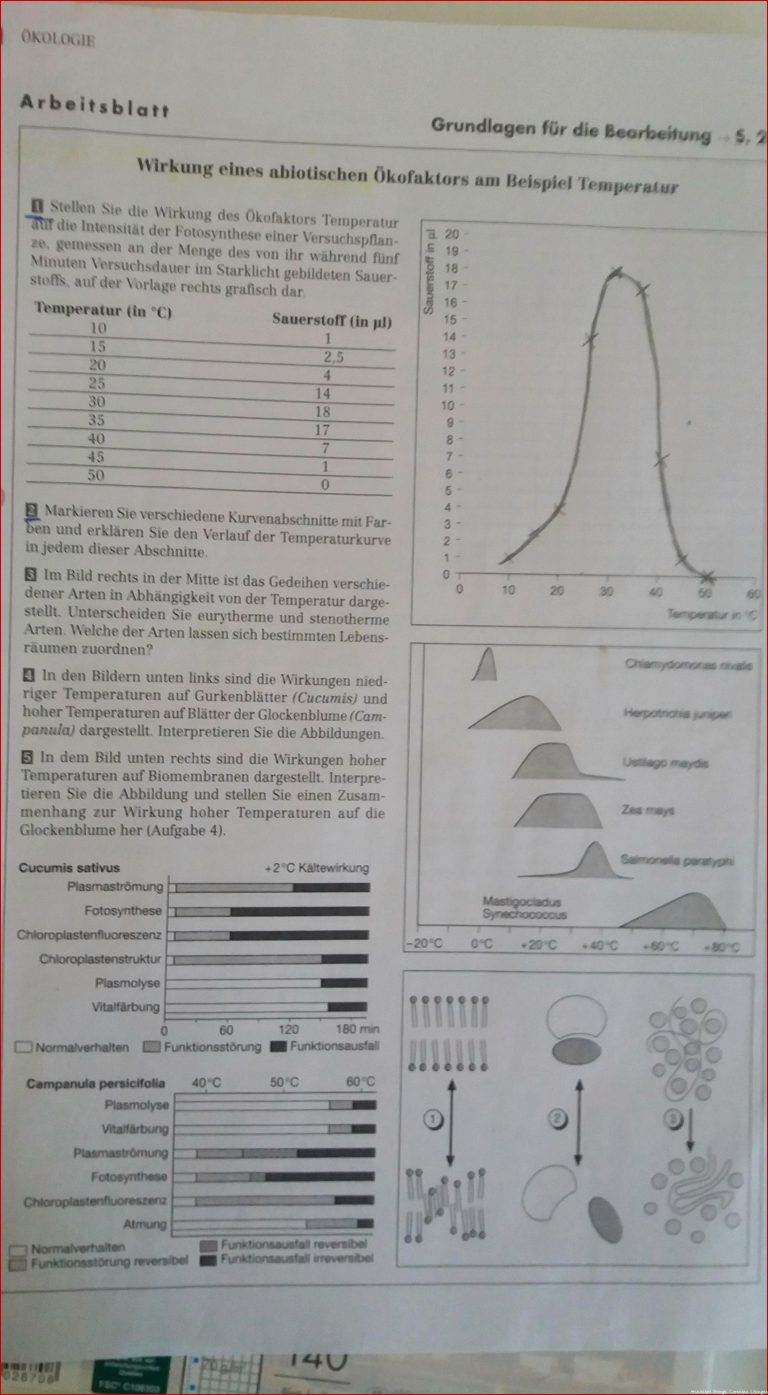 Arbeitsblatt zum Thema ökologie