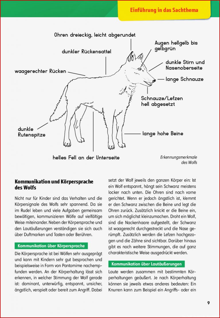 Arbeitsmaterial Grundschule Sachunterricht Der Wolf