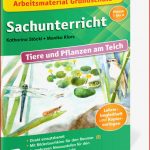 Arbeitsmaterial Grundschule Sachunterricht Tiere Und