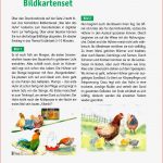 Arbeitsmaterial Grundschule Sachunterricht Wie Lebt Das