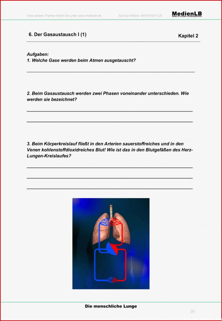 Atmung und blutkreislauf arbeitsblatt lösung Atmung Und