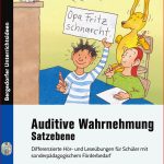 Auditive Wahrnehmung Satzebene Buch Inkl Audio Cds 2