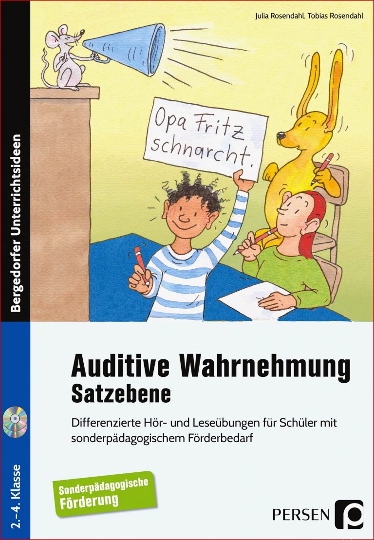 Auditive Wahrnehmung Satzebene Buch inkl Audio CDs 2