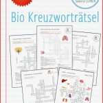 Aufbau Der Blüte Arbeitsblatt Neue Arbeitsblätter