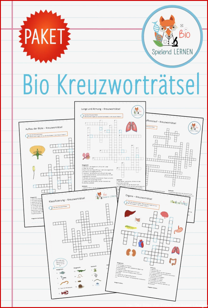 Aufbau Der Blüte Arbeitsblatt Neue Arbeitsblätter Herunterladen Aufbau Der Blüte Arbeitsblatt Neue Arbeitsblätter