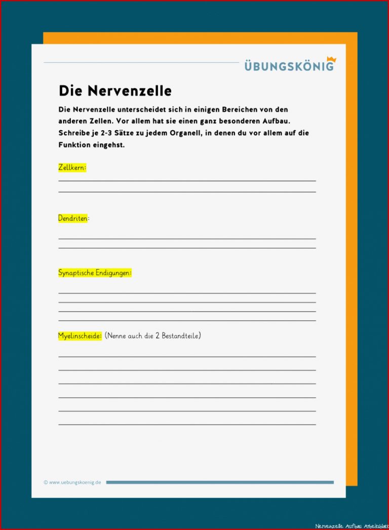 Aufbau Der Nervenzelle