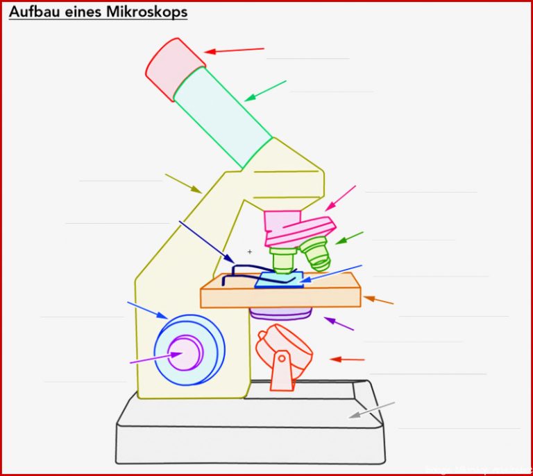 Aufbau Eines Mikroskops Lichtmikroskop