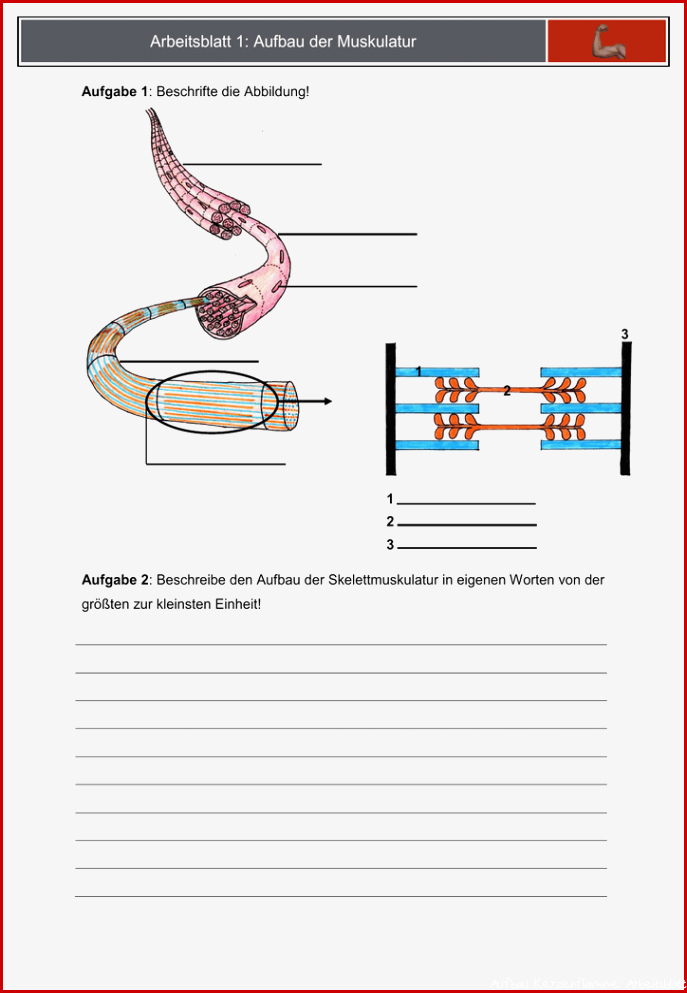 Aufbau Gottes nst Arbeitsblatt arbeitsbl tter