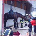 Aufgaben Der Feuerwehr · Freiwillige Feuerwehr Neusäß E V