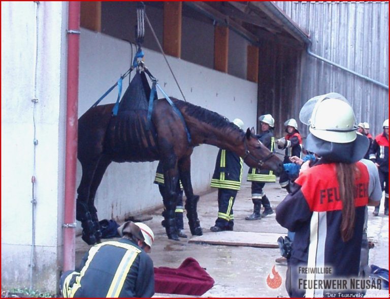 Aufgaben Der Feuerwehr · Freiwillige Feuerwehr Neusäß E V