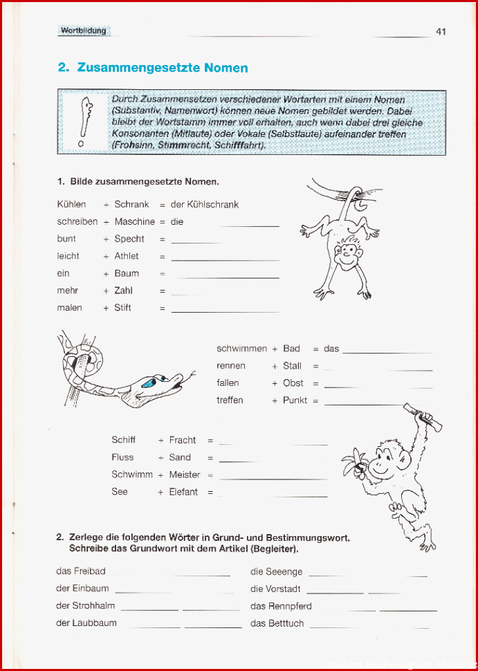 Aufgaben Realschule an der Niers, MG-Rheydt