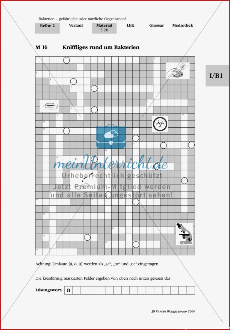 Bakterien Rätsel meinUnterricht