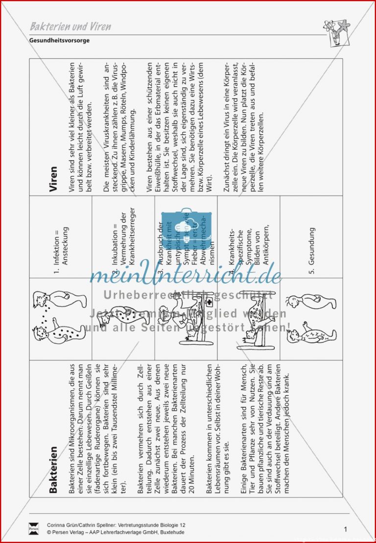 Bakterien Und Viren Vergleich Vermehrung