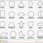Basic Geometric Shapes Cartoon Vector